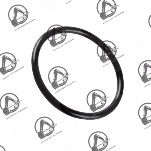Кольцо DS2854011