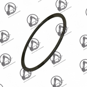 Кольцо 029631-6060